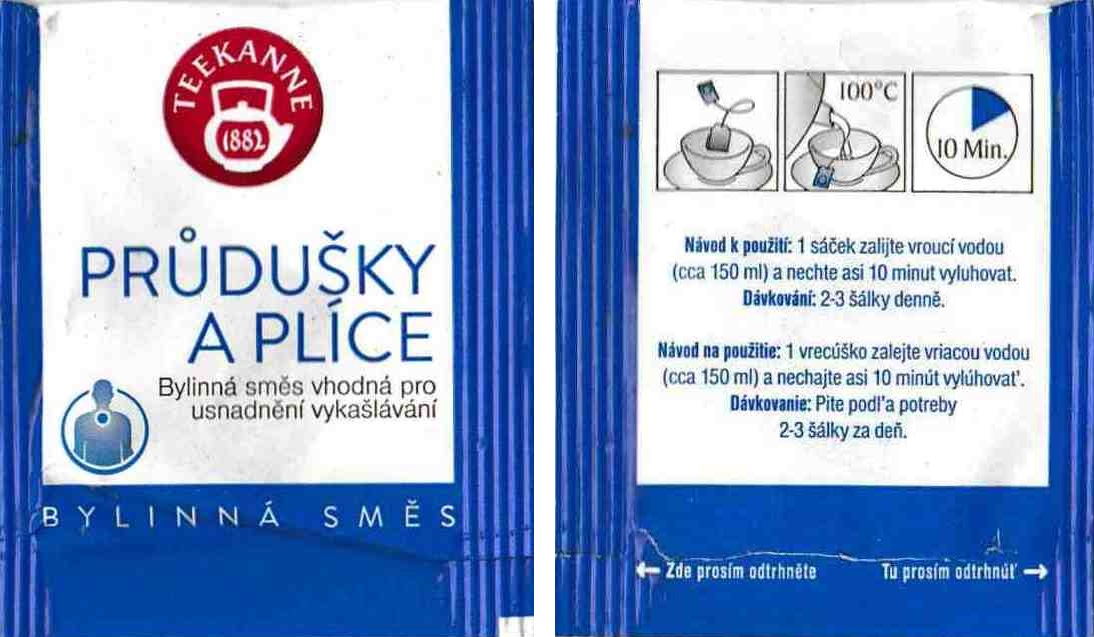 Teekanne - Průdušky a plíce (3)